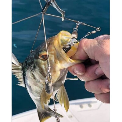 Coolbaits Lure Co Coolbaits A-Rig Regular 3 Umbrella Rig Silver Blades