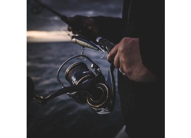 Spinning Reels