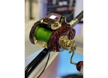 Electric Reels