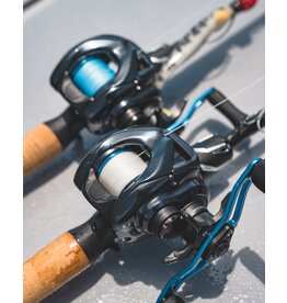 Daiwa Daiwa 24 Coastal  SV TW 150-B Baitcasting Reels