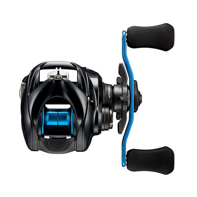 Daiwa Daiwa 24 Coastal  SV TW 150-B Baitcasting Reels