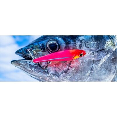 Shimano Shimano Ledge Runner Lures