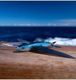 California Flyer California Flyer Delta Flyer 270