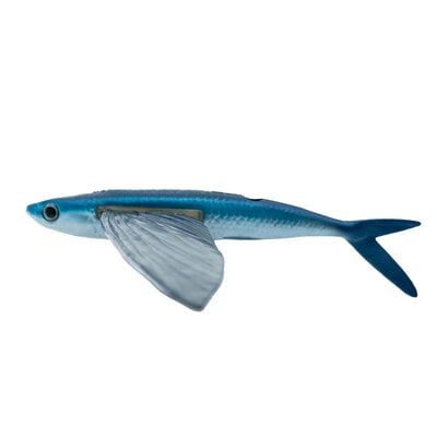 California Flyer California Flyer Delta Flyer 270