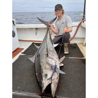 California Flyer California Flyer Delta Flyer 270