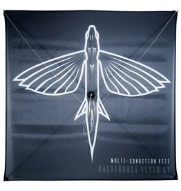 California Flyer California Flyer Multi-Condition Kite