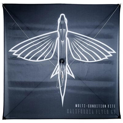 California Flyer California Flyer Multi-Condition Kite
