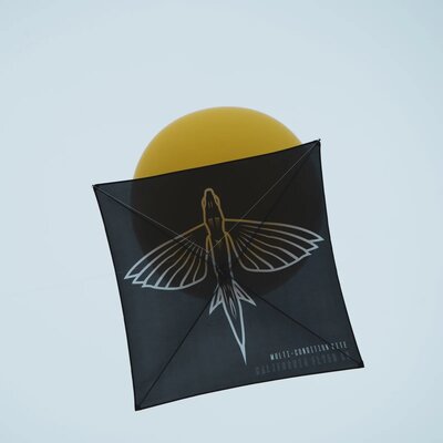 California Flyer California Flyer Multi-Condition Kite