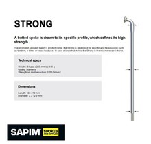 Sapim Strong Silver J-Bend 202mm for 700C 36H BionX Wheels