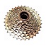 Epoch DNP Freewheel 10 SP 11-32T