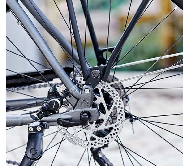 gazelle cityzen t10