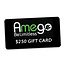 Amego $250 Amego Gift Card