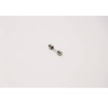 Fuse Cylinder Large 30mm (20A 250V)