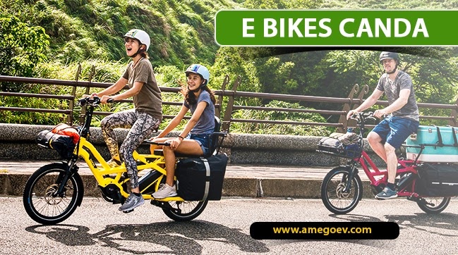Factors Influencing People for Choosing Electric Bikes Over Others