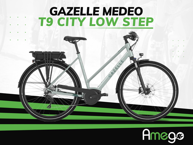 Gazelle 2021 Medeo T9 City Low-Step