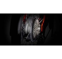Stromer Stromer Wheel Rear CYRO Drive L1e B CL3 800W ST1X 2018