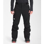 THE NORTH FACE Men's Freedom Insulated Pant