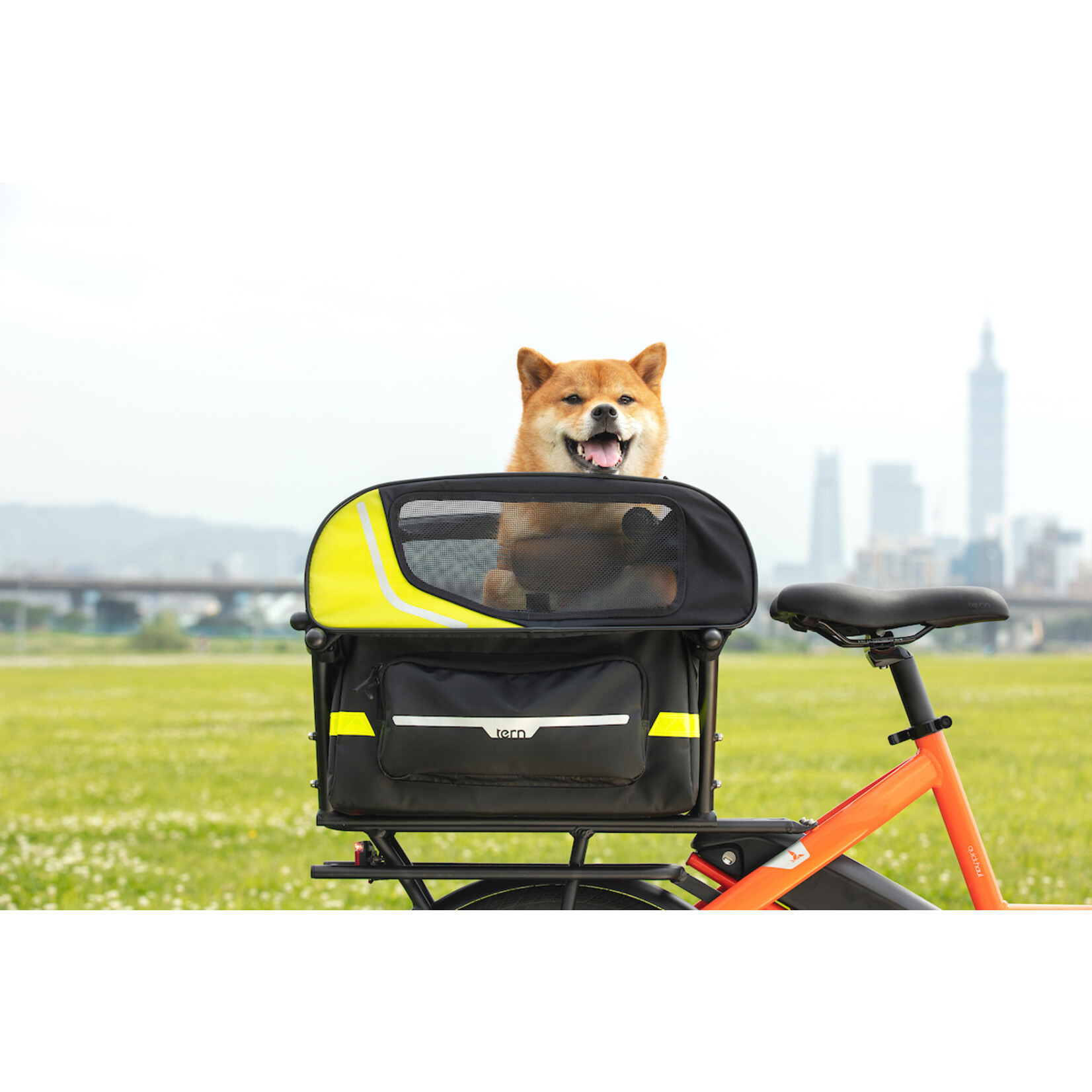 Tern Tern Dog Roof Mini