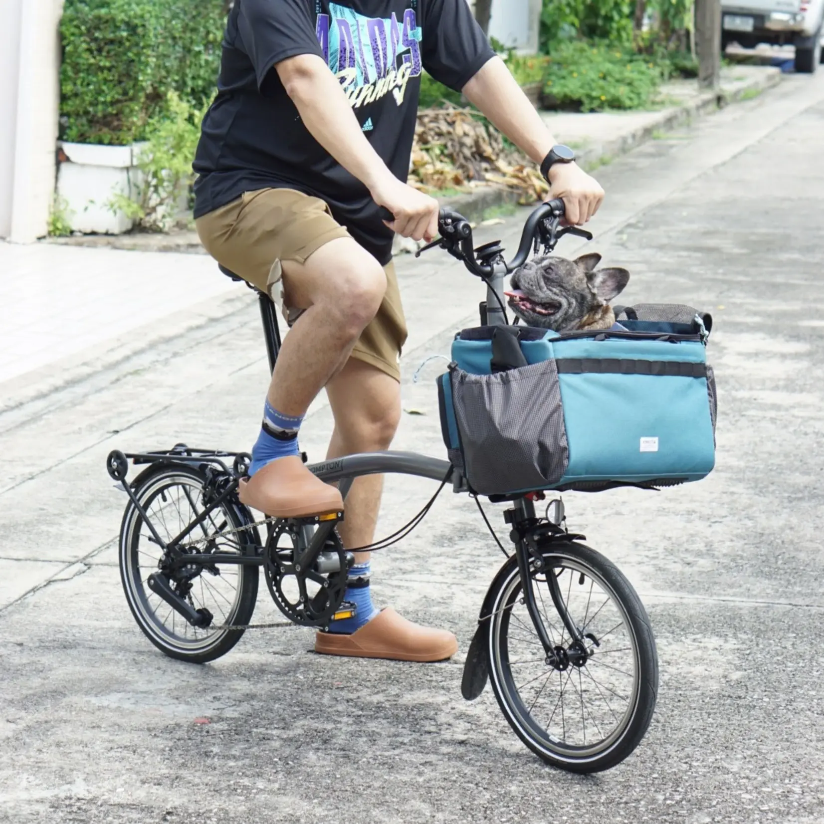 Vincita Vincita Caddy Pet Basket for Brompton Blue