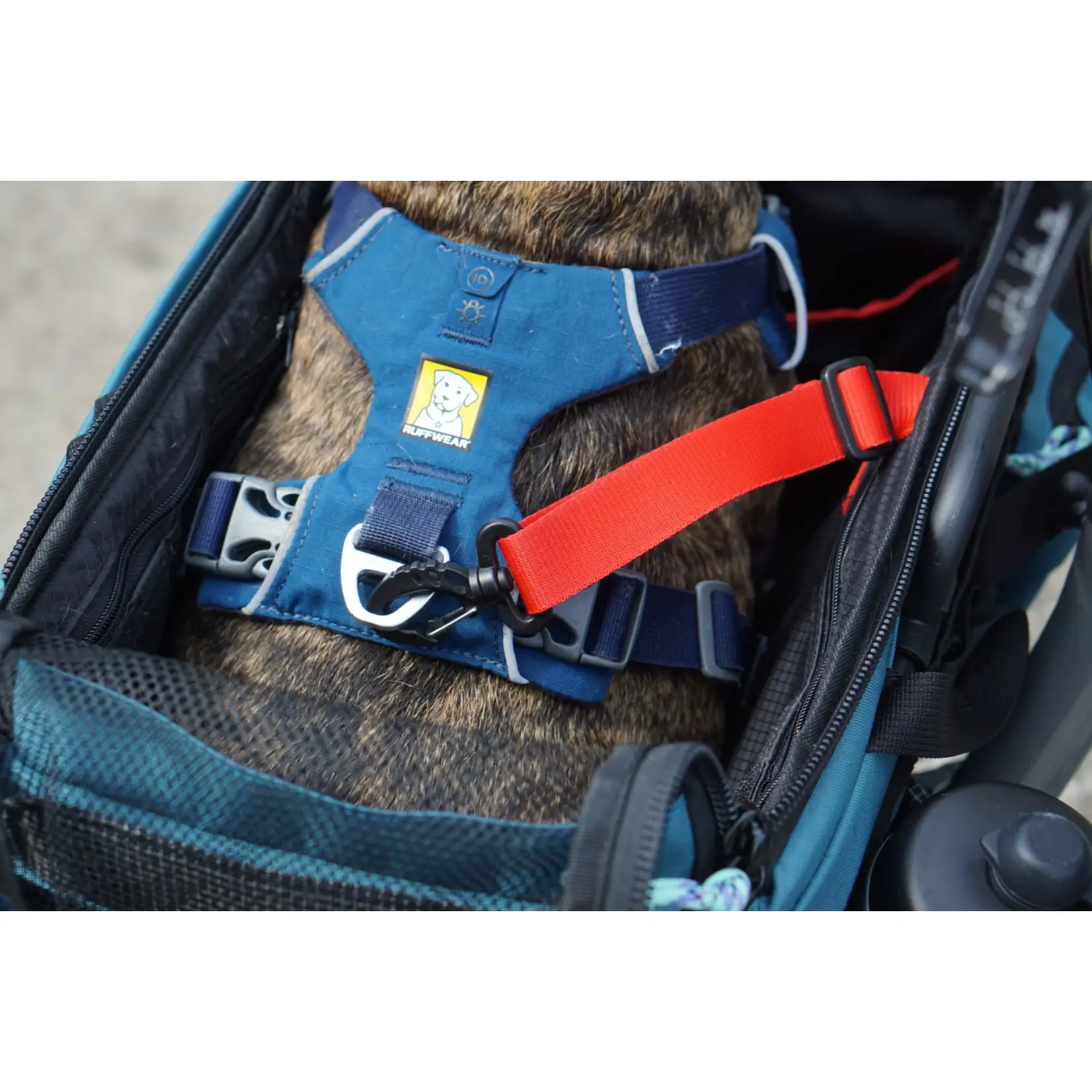 Vincita Vincita Caddy Pet Basket for Brompton Blue