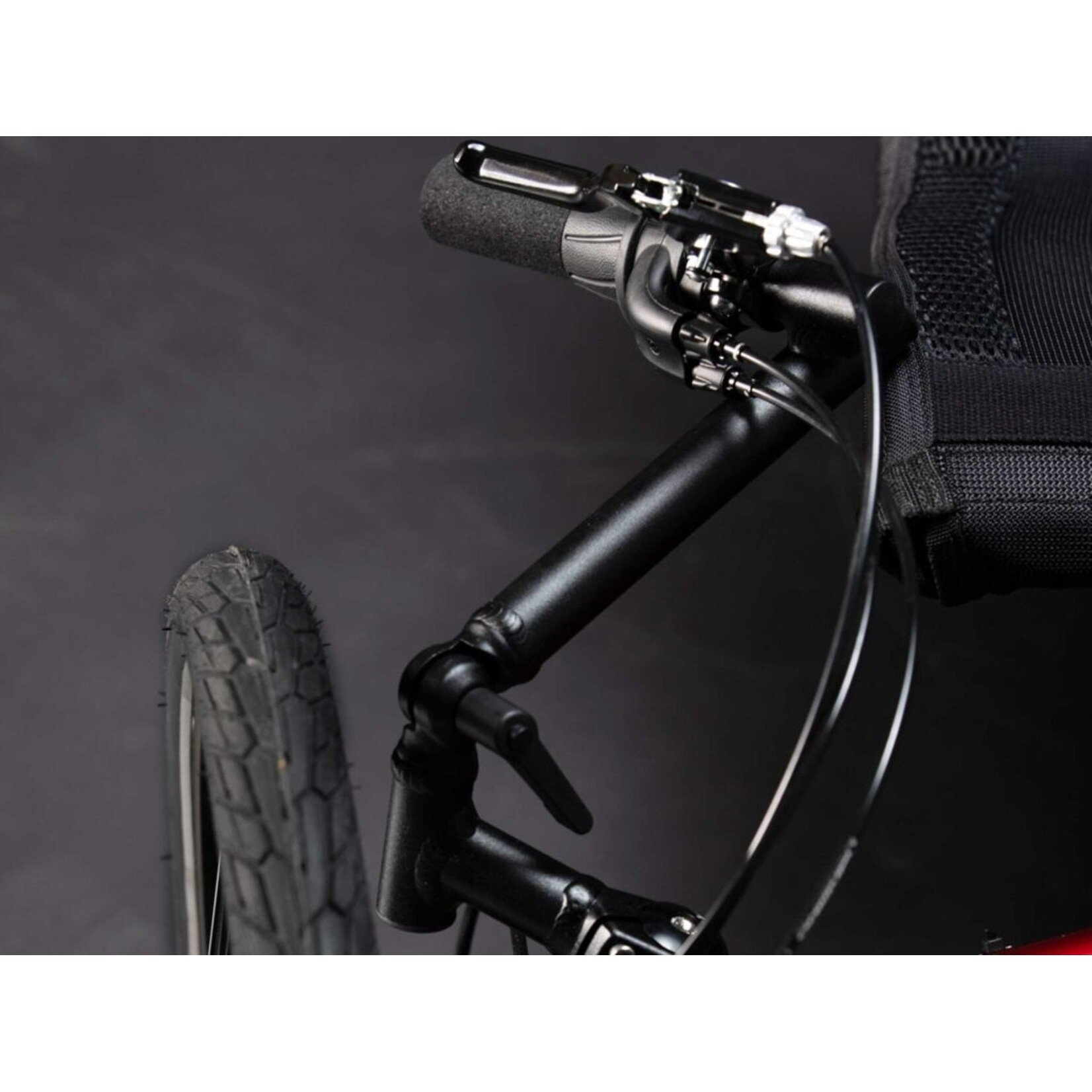 TerraTrike TerraTrike Traveler Champagne