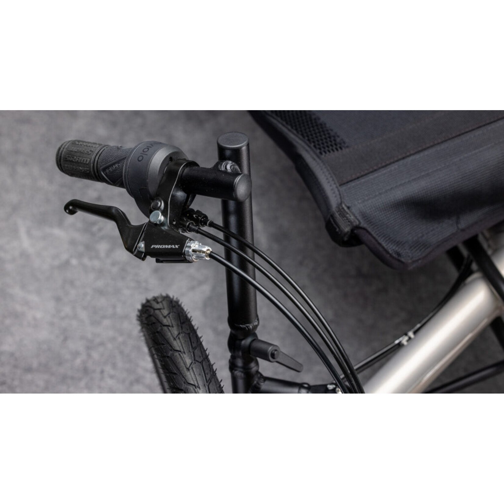 TerraTrike TerraTrike Traveler Champagne