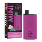 Fume Mini 5% (1200 Puffs) Blueberry CC