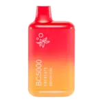 EBDesign- BC5000 BC5000 5000 puff Beach Day (Orange Black Currant))