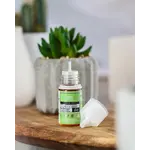 Glas Glas BSX Salt 30ml Cool Melon 30mg