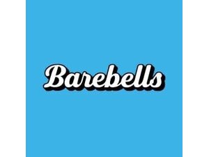 Barebells Protein Bars