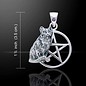 OMEN Cat Pentagram with Amethyst