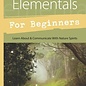 OMEN Faeries & Elementals for Beginners: Learn about & Communicate with Nature Spirits