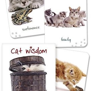 OMEN Cat Wisdom Cards