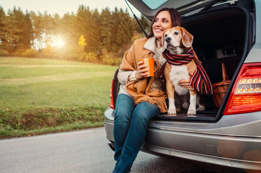 Thanksgiving Travels with Your Dog