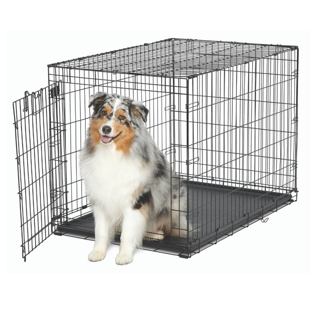 Crate Training Your Puppy