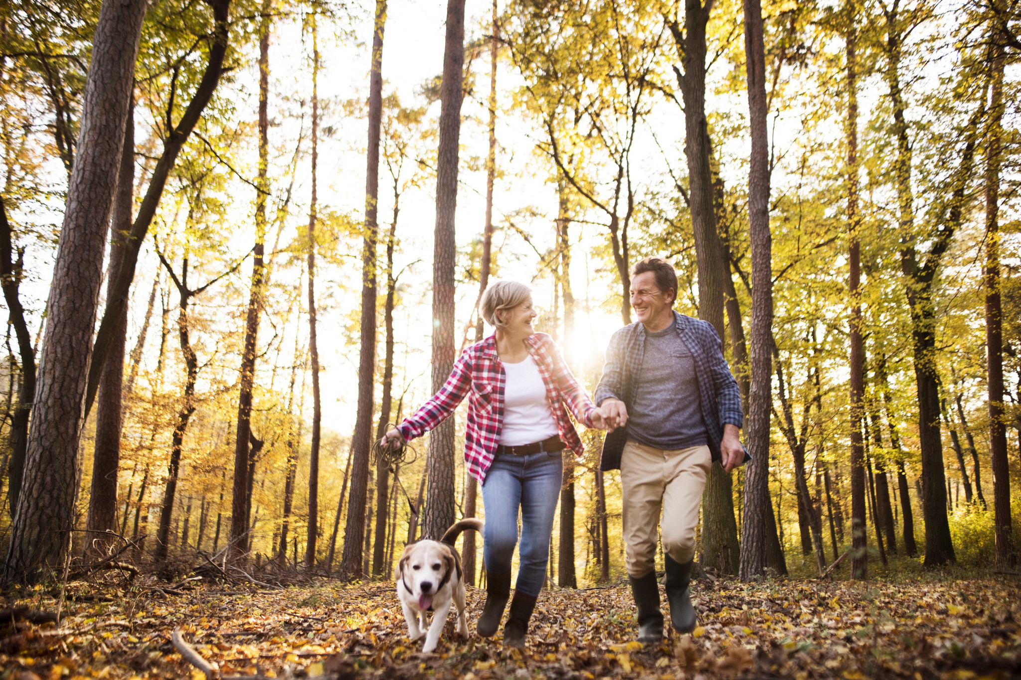 Hiking With Your Dog