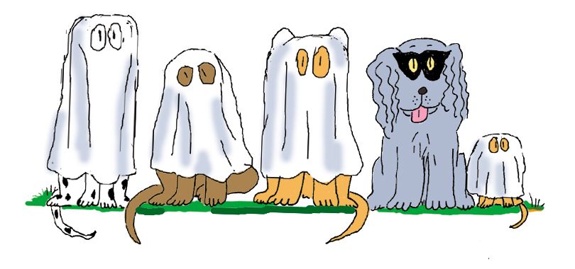 Halloween Safety Tips for Pets