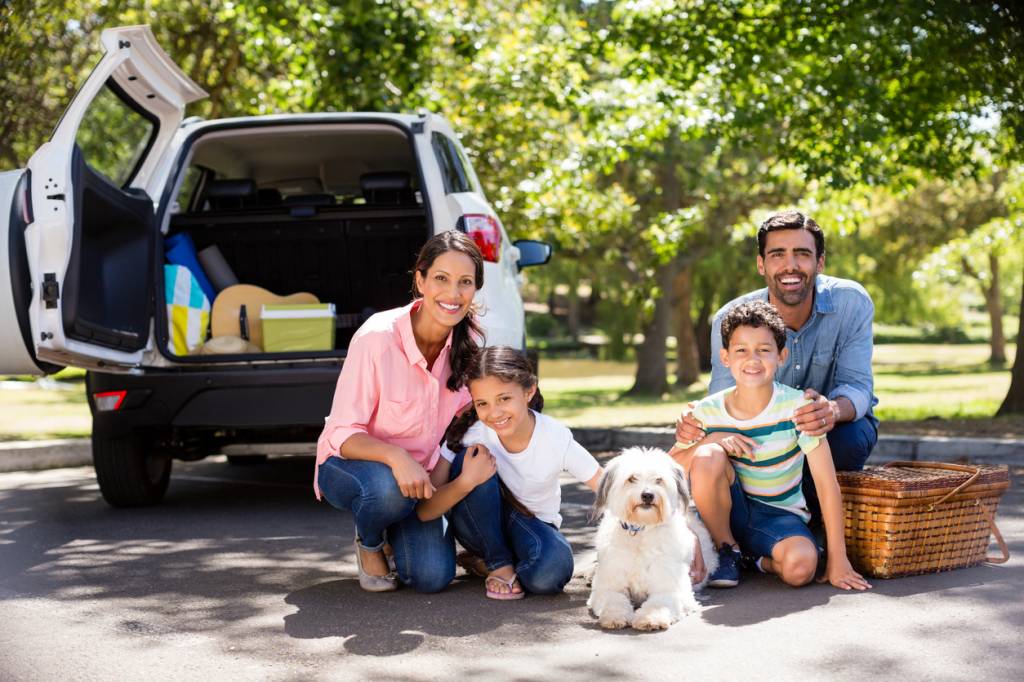 Traveling with Your Dog