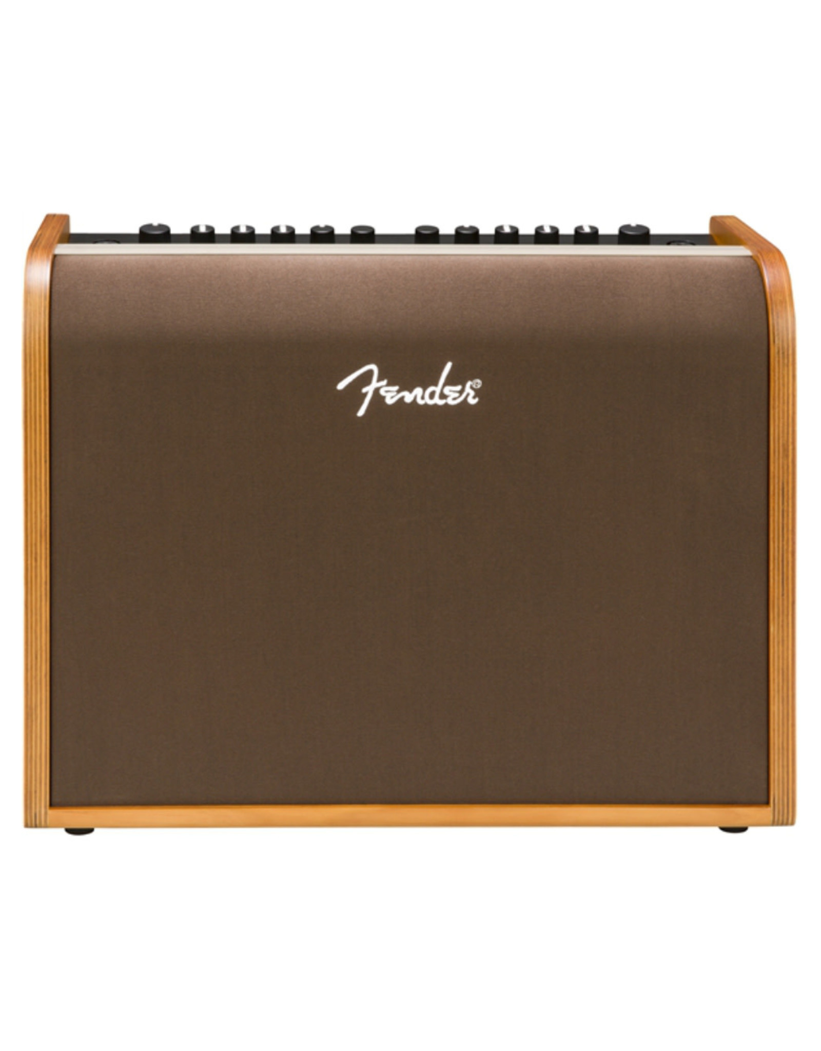 Fender Fender Acoustic 100 Guitar Amplifier (2314000000)