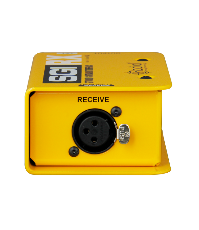 Radial Engineering SGI Studio Guitar Interface System (Pair)