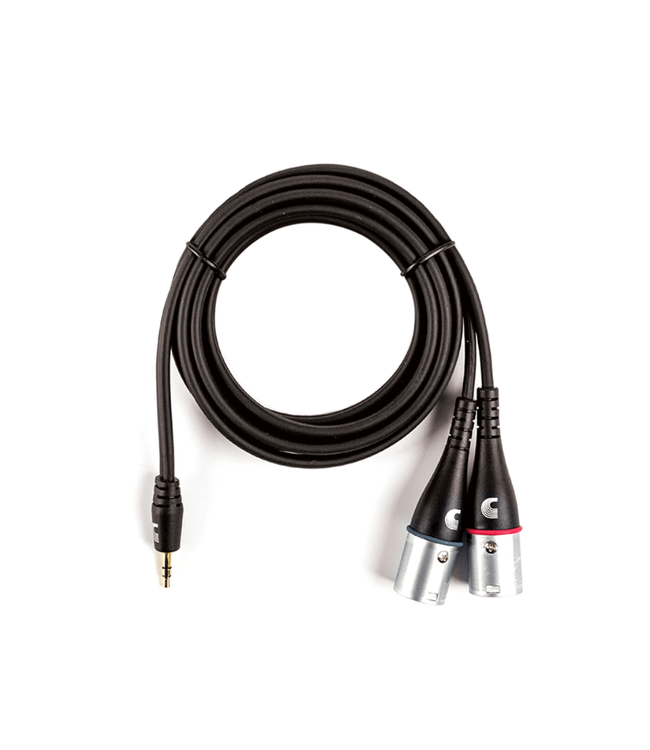 D'Addario D'Addario Custom Series 1/8" TRS to Dual XLR-M Adaptor Cable - 06'