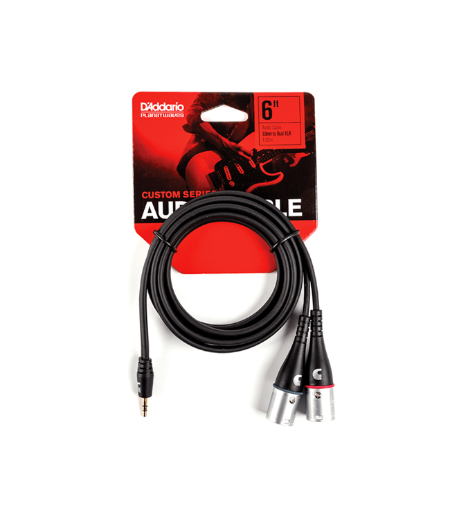D'Addario Custom Series 1/8" TRS to Dual XLR-M Adaptor Cable - 06'