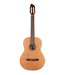 Godin Godin Concert Classical Acoustic