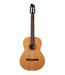 Godin Godin Etude Classical - Natural