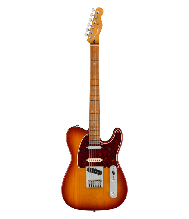 Fender Fender Player Plus Nashville Telecaster - Pau Ferro Fretboard, Sienna Sunburst