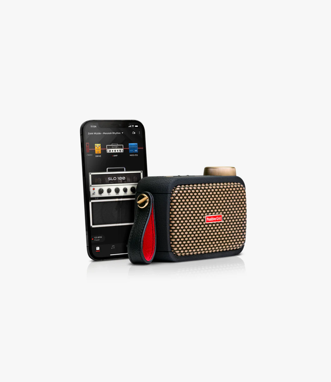 Positive Grid Spark GO Guitar Amplifier & Bluetooth Speaker - Black