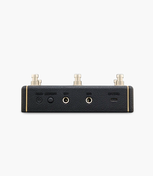 Positive Grid Spark Control X Amplifier Footswitch