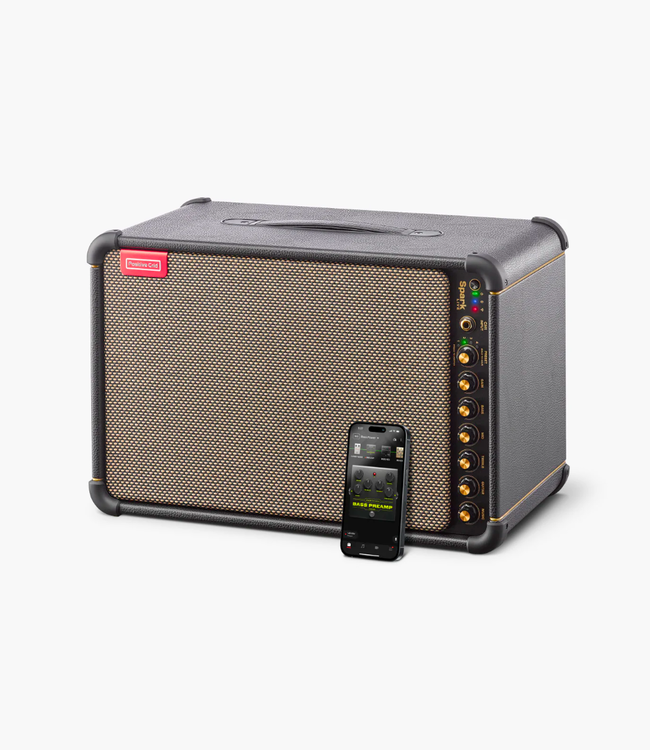 Positive Grid Spark LIVE Portable 4-Channel Amplifier/PA System