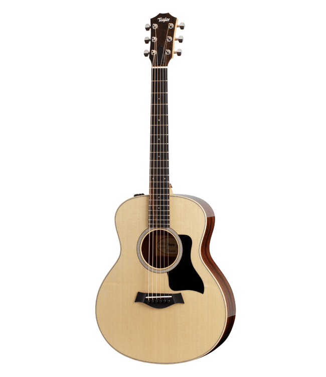 Taylor GS Mini-E - Rosewood Plus