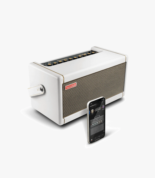 Positive Grid Positive Grid Spark Guitar Amplifier & Bluetooth Speaker